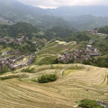評論圖片 3