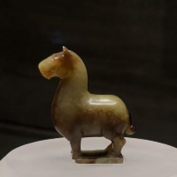 評論圖片 5