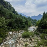 評論圖片 3