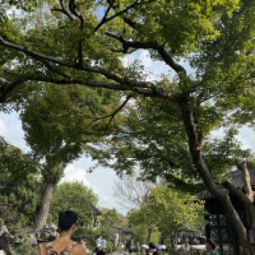 評論圖片 4