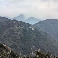 評論圖片 5