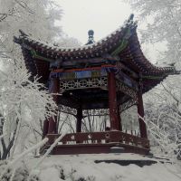 評論圖片 5