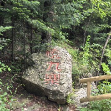 評論圖片 7