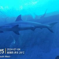評論圖片 8