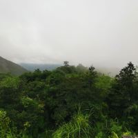 評論圖片 2