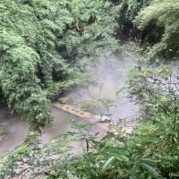 評論圖片 4