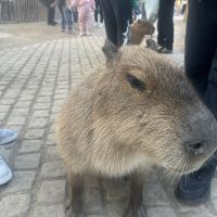 評論圖片 9