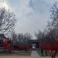 評論圖片 4