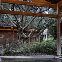 評論圖片 3
