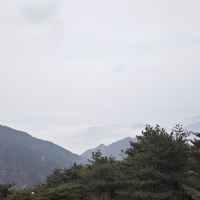 評論圖片 8