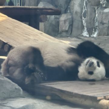 評論圖片 1