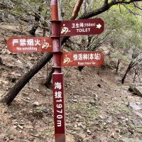 評論圖片 7