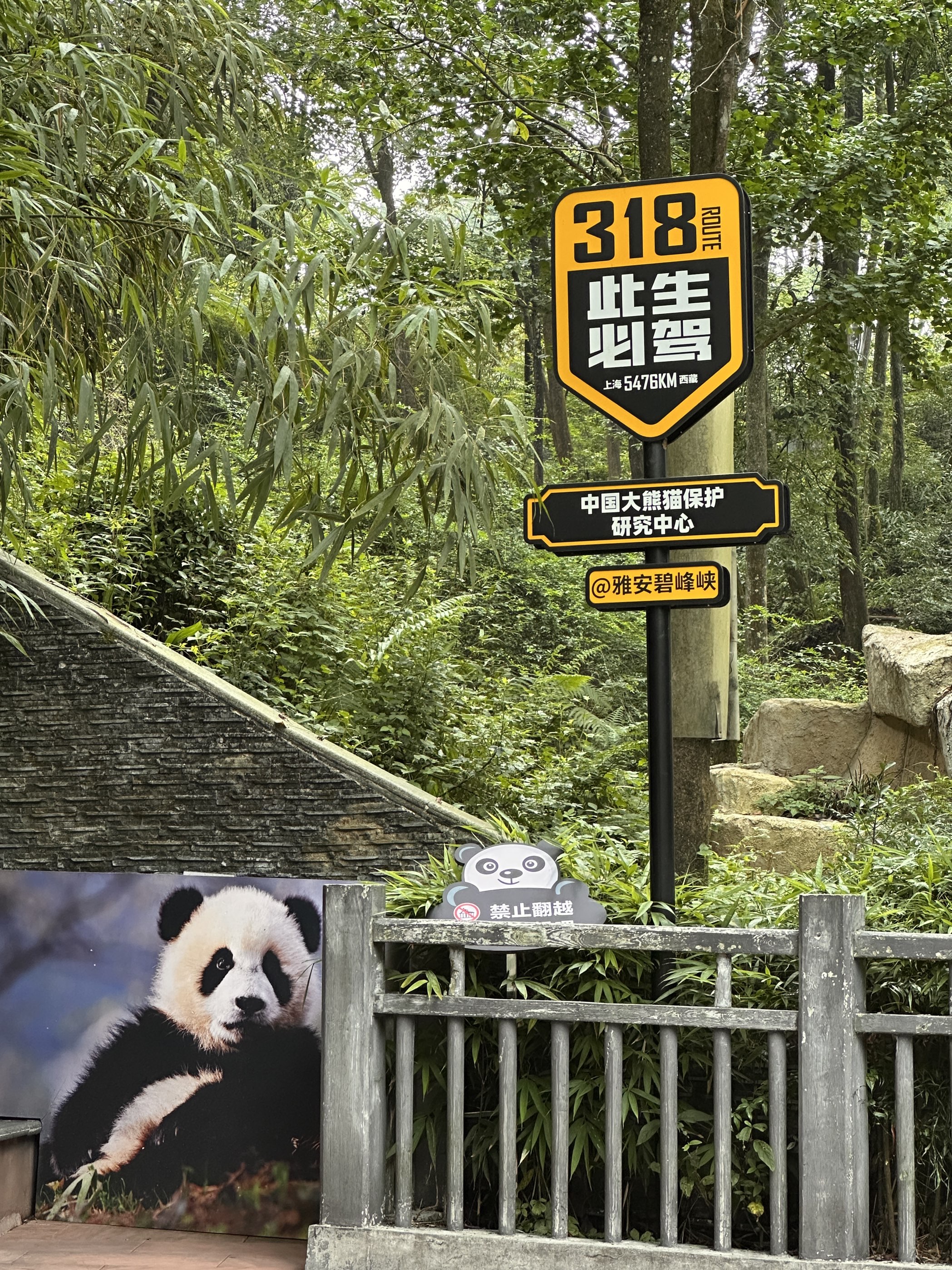 中國保護大熊貓研究中心雅安碧峯峽基地門票【2025】- 預約、開放時間