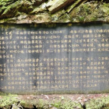 評論圖片 9