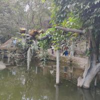 評論圖片 1