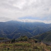 評論圖片 1