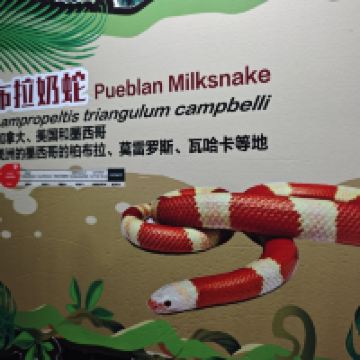 評論圖片 3