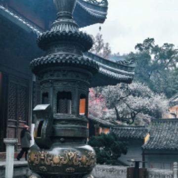 評論圖片 4