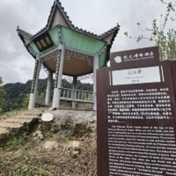 評論圖片 2