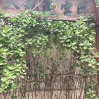 評論圖片 4