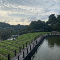 評論圖片 2