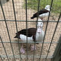 評論圖片 8