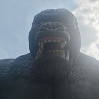 評論圖片 3