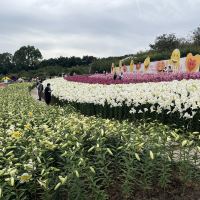 評論圖片 4