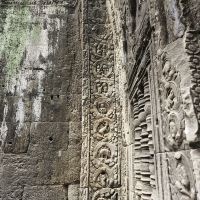 評論圖片 5