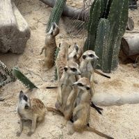 評論圖片 1