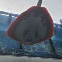 評論圖片 7