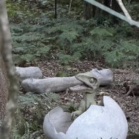 評論圖片 2