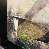 評論圖片 3