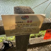 評論圖片 4