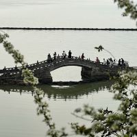 評論圖片 1
