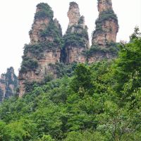 評論圖片 7