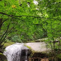 評論圖片 3