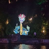 評論圖片 8