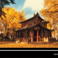 評論圖片 1