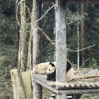 評論圖片 6