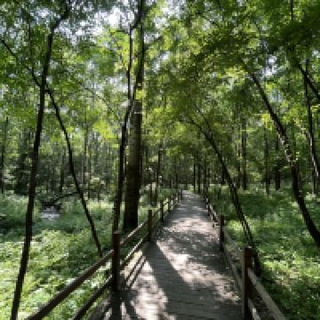 評論圖片 8