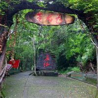 評論圖片 1