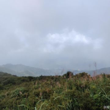 評論圖片 4