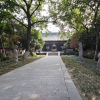 評論圖片 3