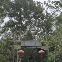 評論圖片 6