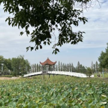 評論圖片 6