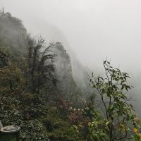 評論圖片 8