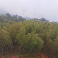 評論圖片 2