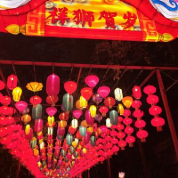 評論圖片 6