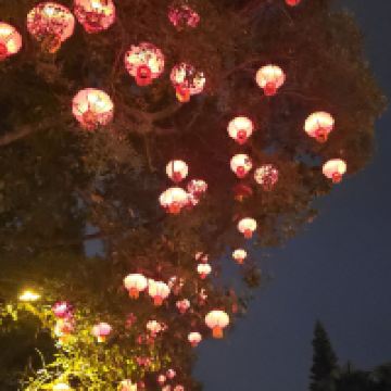 評論圖片 3
